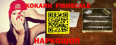 крисы Брянск