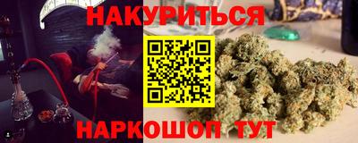 крисы Брянск