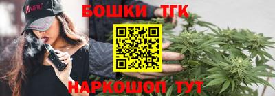 крисы Брянск