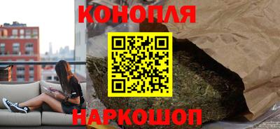 крисы Брянск