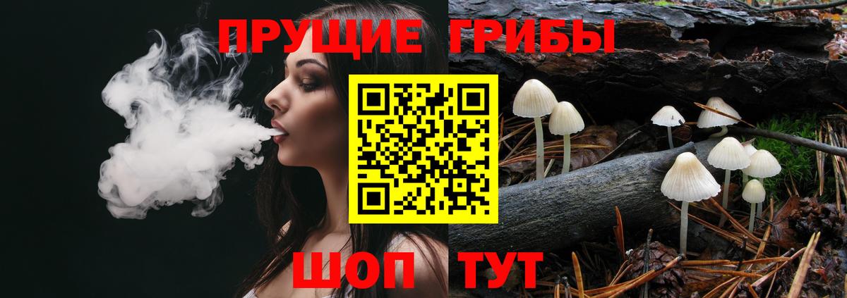 Псилоцибиновые грибы Magic Shrooms  Вход с VPN  Псилоцибиновые грибы Psilocybe  купить   Мончегорск 